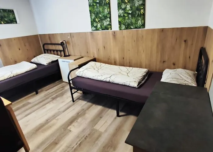 Casa de hóspedes Gaestehaus Back *